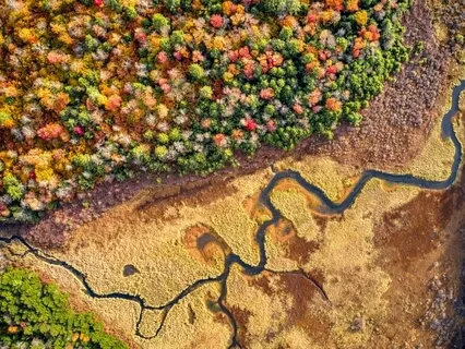 Relaxing Tropical Sounds