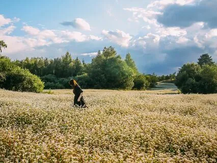 Relaxing Tunes For Emotional Balance