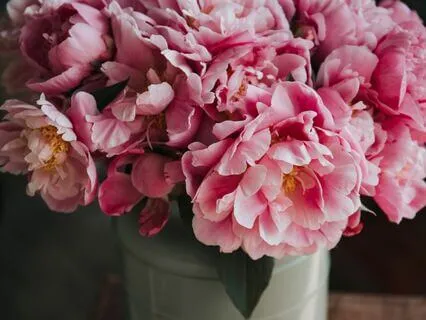 Relaxing Twin Flame Manifestation Affirmations - Feel Bliss