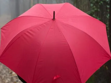 Relaxing Walk In The Woods Underneath Umbrella