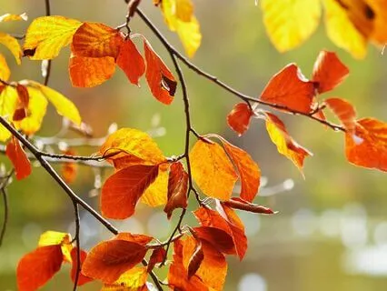 Relaxing White Noise For Soothing Rejuvenating Sleep