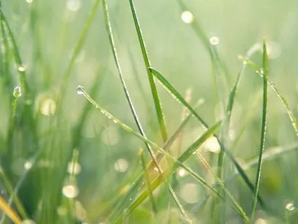 Relaxing Winter Rain For Good Night Sleep