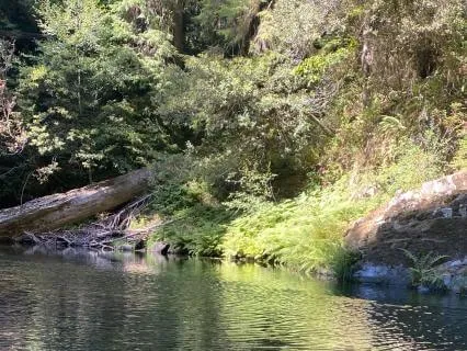 Relaxing With Native Flute Forest Music