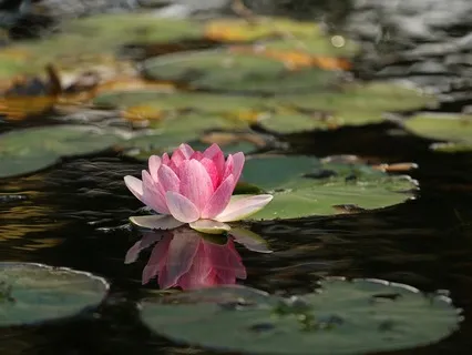 Relaxing With What Is