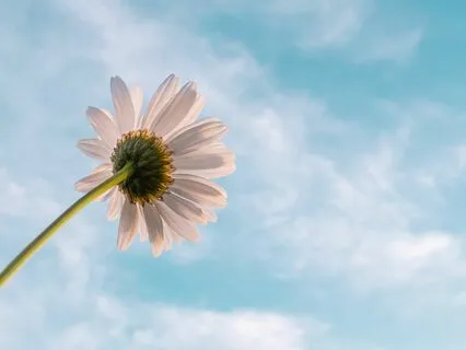 Relaxing World - Most Relaxing Piano