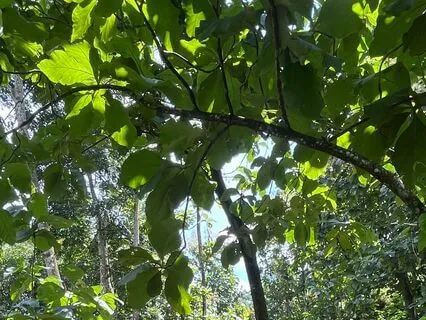 Relaxing Yoga Nidra For Instant Calm