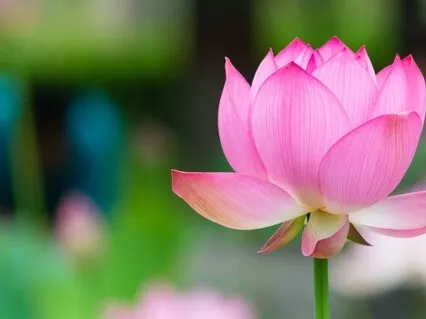 Relaxing Yoga Nidra With Intention Setting