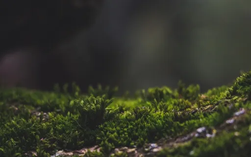 Relaxing Your Emotions And Thoughts - Meditation 53