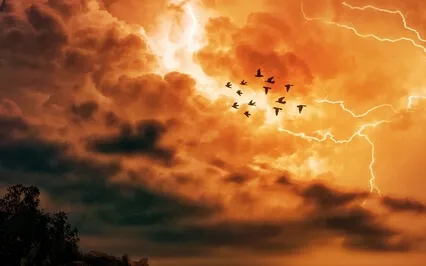 Relaxtion Music - Sleep Music - Spa & Meditation Music