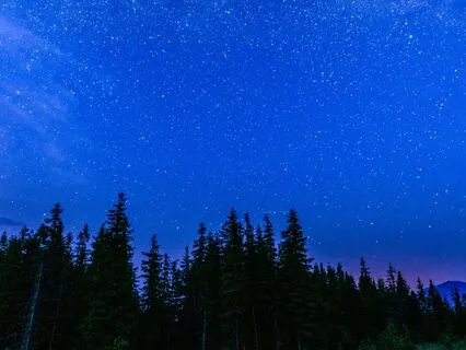 Release All Negative Energy & Worries