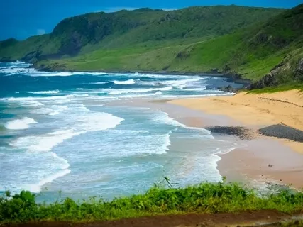 Release All Negativity -Transmute To Love And Abundance