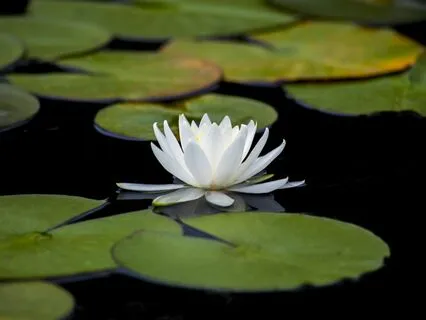 Release All Tension And Stress