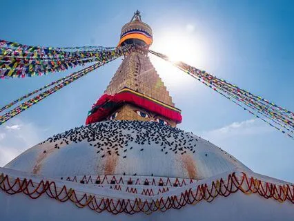 Release All Weight | The Temple Of Stillness | Calming Music