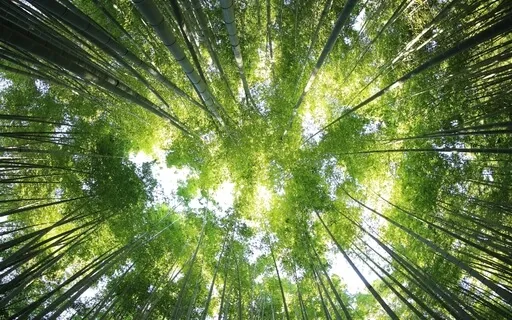 Release All With Divine Helpers