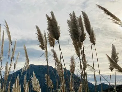 Release And Joy Breath Meditation