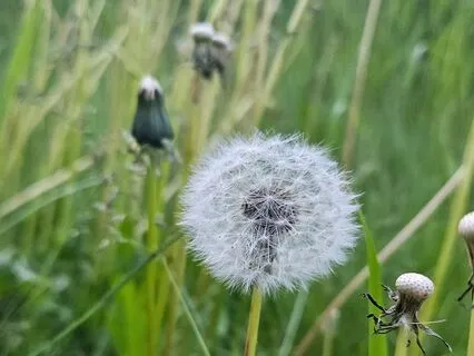 Release And Let Go Mantra