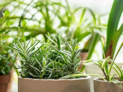 Release And Let Go Visualisation