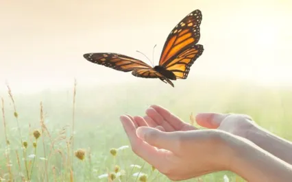 Release And Letting Go