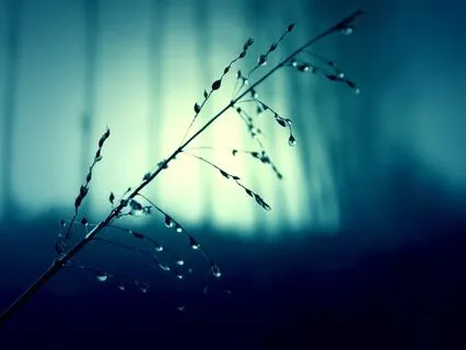 Release And Realign With 528 Hz Restorative Frequency