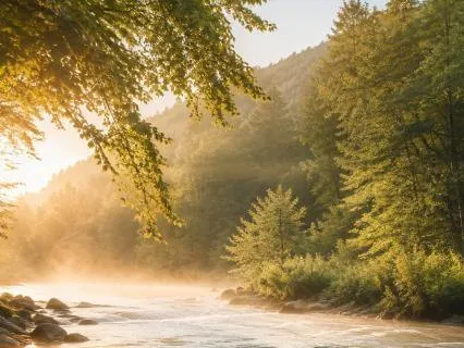 Release And Receive: A Meditation For Letting Go