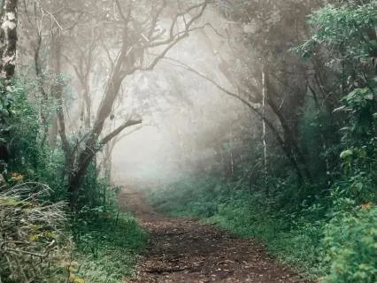 Release And Reclaim: Overcoming Fear