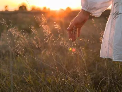 Release And Reconnect - You Are Guided And Loved