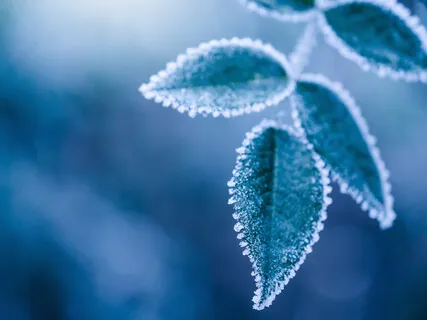 Release And Reimagine