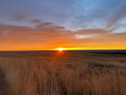 Release And Renew: For Letting Go