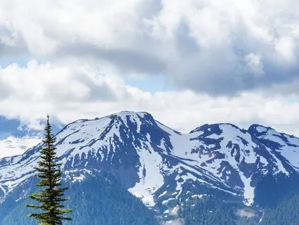 Release And Renew: Embrace Freedom Within 10 Hz