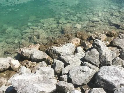 Release And Renew: Letting Go Of Regret