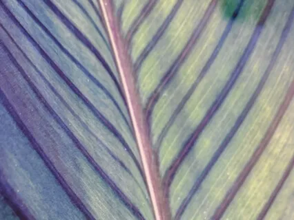 Release & Stretch At Your Desk