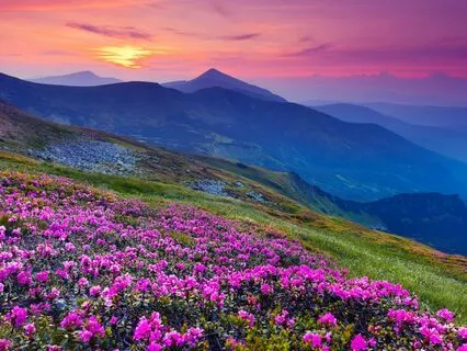 Release Anger Guided Meditation