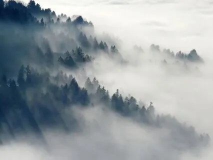 Release Anxiety And Find Calm In 5 Minutes