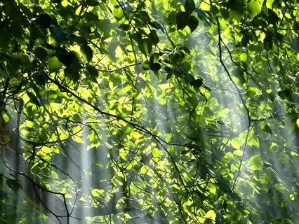 Release Anxiety & Create Ease In Your Life