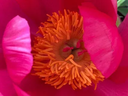 Release Anxiety From Pregnancy Loss For New Pregnancy