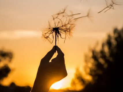 Release Anxiety | Overcome Trauma