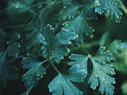 Release Anxiety Sleep Practice