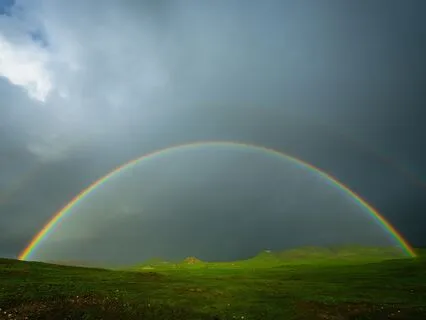 Release Anxiety: Soothing Breath And Reminders