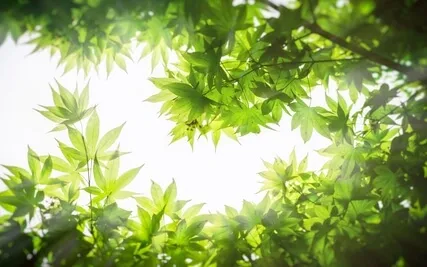 Release Anxiety with 174 Hz