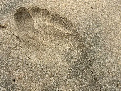 Release Anxiety With Calming Ocean Waves