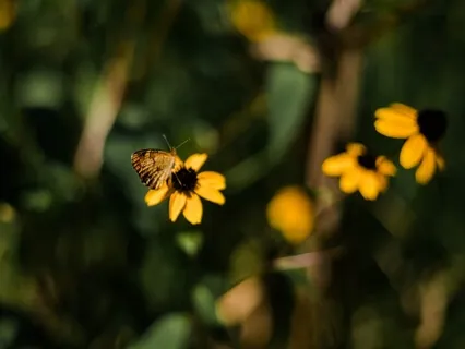 Release Anxiety With Shape Of Emotion