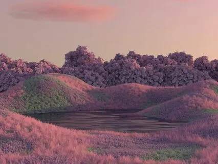 Release Anxious Thoughts And Find Inner-Peace