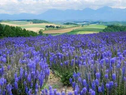 Release Anxious Thoughts EFT Tapping Meditation