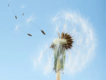 Release Anxiousness & Activate Your Inner Peace