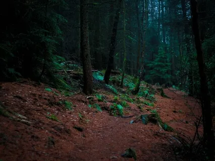 Release Attachments, Release Scarcity