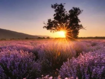 Release Back Tension Now - Positive Affirmations