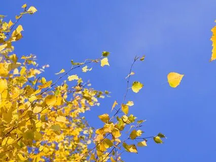 Release Barriers To Abundance