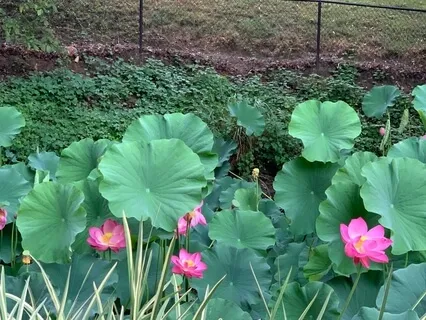 Release Being Stuck In The Past & The Future