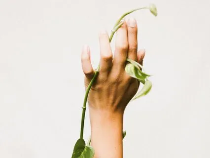 Release Beliefs Blocking Your Life Purpose