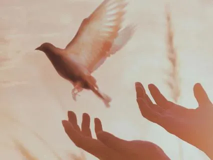 Release Blocked Energy | Energetic Clearing